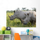 Up Rhino Khama Reserve