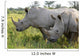 Up Rhino Khama Reserve