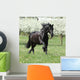 Gorgeous friesian mare running in front of flowering trees Wall Mural