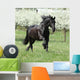 Gorgeous friesian mare running in front of flowering trees Wall Mural