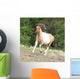 Pony Running Pasturage Hot Wall Mural