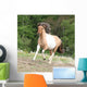 Pony running on pasturage in hot summer Wall Mural