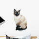Thai Cat Is Traditional