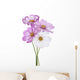 Cosmos Flower