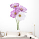 Cosmos Flower