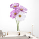 Cosmos Flower