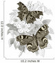 Peacock Gamma Butterflies