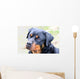 Rottweiler Wall Mural