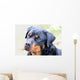 Rottweiler Wall Mural