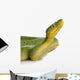 Emerald Tree Boa - Corallus Caninus Wall Decal