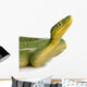 Emerald Tree Boa - Corallus Caninus Wall Decal