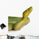 Emerald Tree Boa - Corallus Caninus Wall Decal
