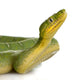 Emerald Tree Boa - Corallus Caninus Wall Decal