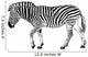Black and White Vector Wall Decal