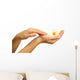 Beautiful woman hands with camomile, isolated on white Wall Decal