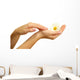 Beautiful woman hands with camomile, isolated on white Wall Decal