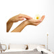 Beautiful woman hands with camomile, isolated on white Wall Decal