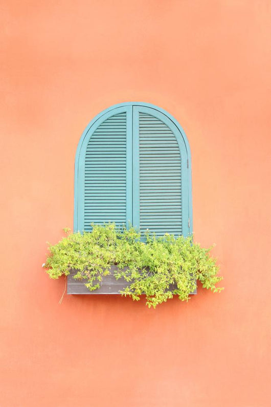 Old Arched Green Window