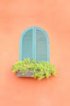 Old Arched Green Window