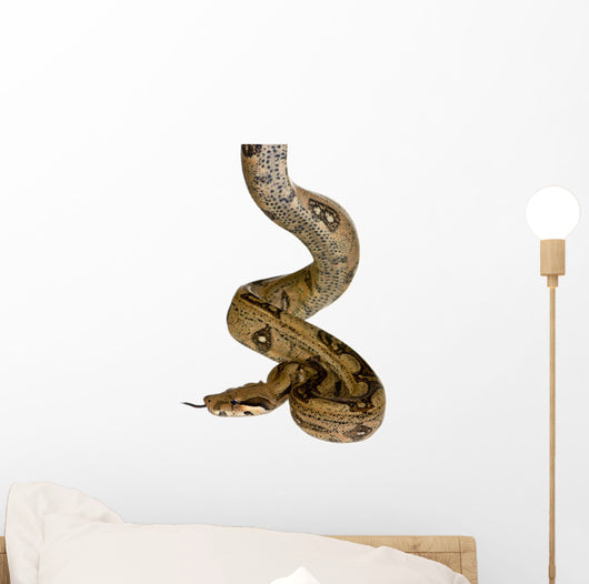 Front White Wall Decal