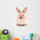 A rabbit isolated against white background Wall Mural