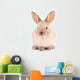 A rabbit isolated against white background Wall Mural