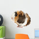 Crazy looking guinea pig pet rodent Wall Decal