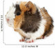 Crazy looking guinea pig pet rodent Wall Decal