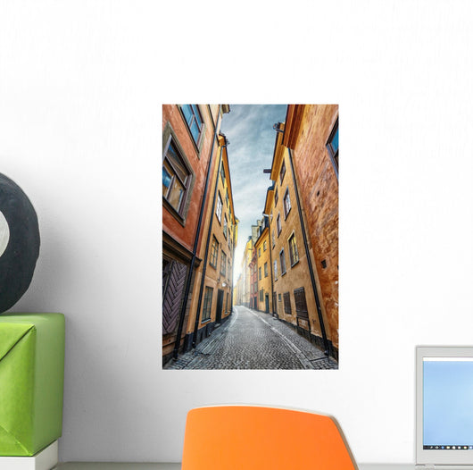 Colorful Alley with Cobblestone