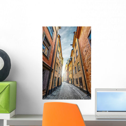 Colorful Alley with Cobblestone