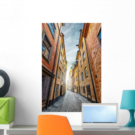 Colorful Alley with Cobblestone