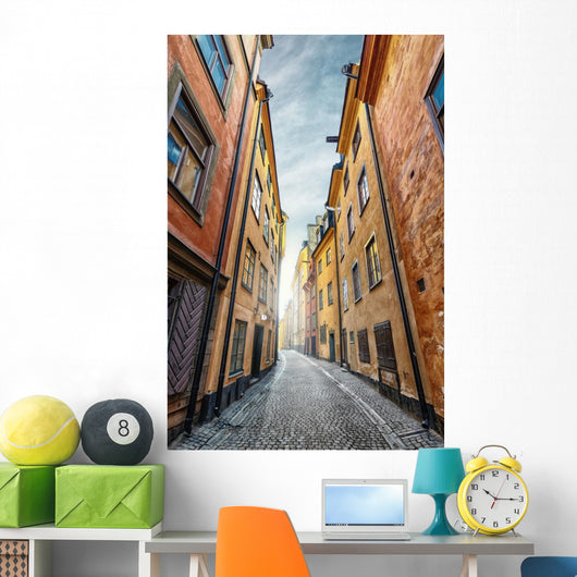 Colorful Alley with Cobblestone