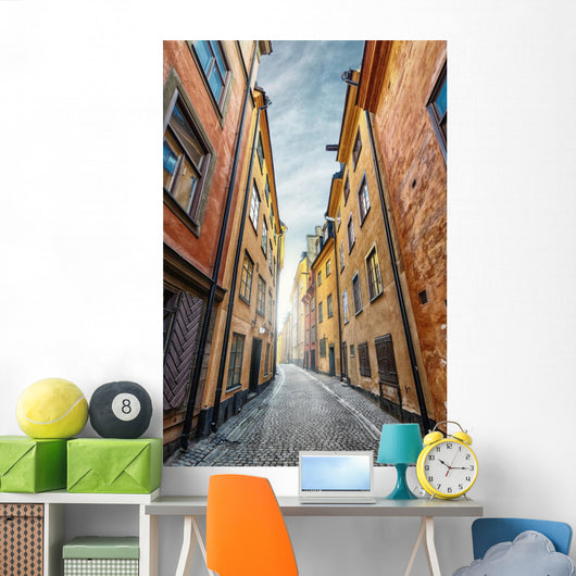 Colorful Alley with Cobblestone