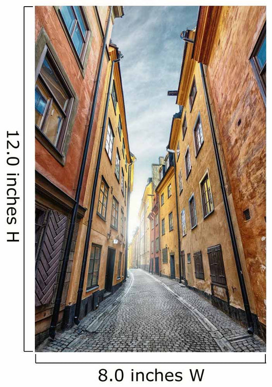Colorful Alley with Cobblestone