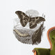 Papillon Bombyx Wall Decal