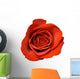 Red Rose Close-up Wall Decal