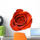 Red Rose Close-up Wall Decal