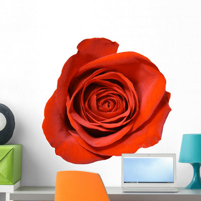 Red Rose Close-up Wall Decal shown on a wall