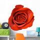 Red Rose Close-up Wall Decal