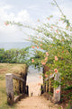 stairway entry to sandy beach  flowers Caribbean Sea Little Corn Wall Mural
