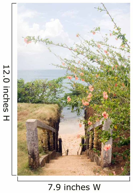 stairway entry to sandy beach  flowers Caribbean Sea Little Corn Wall Mural