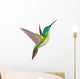Hummingbird
