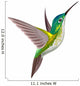 Hummingbird