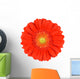 Orange Gerbera Flower Wall Decal