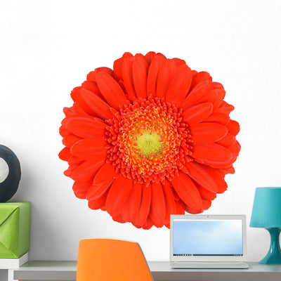 Orange Gerbera Flower Wall Decal shown on a wall
