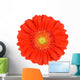 Orange Gerbera Flower Wall Decal