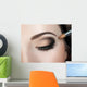 Make-up Eyebrow Makeup Eyes Wall Mural