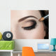 Make-up Eyebrow Makeup Eyes Wall Mural