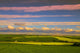 Red Sky Countryside Wall Mural