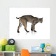 Bobcat Wall Mural